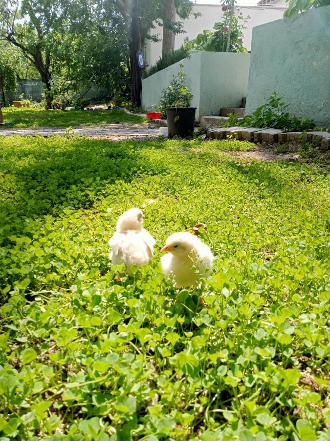Salda Gölü Koca Kapı Konaklama Yesilova  Exterior foto