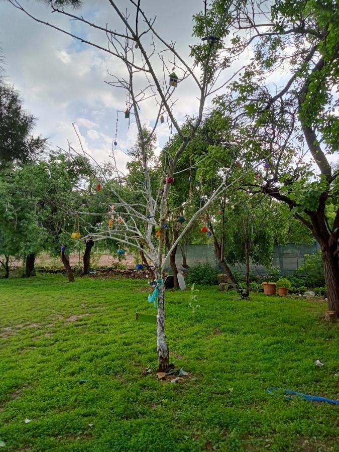 Salda Gölü Koca Kapı Konaklama Yesilova  Exterior foto